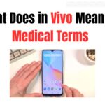 What Does in Vivo Mean in Medical Terms | VivoPrice.pk